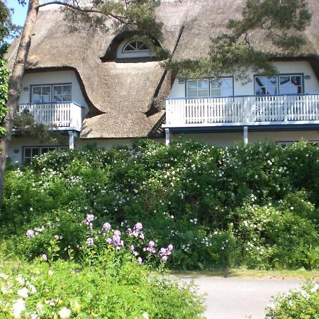 Achtern - Diek - am Strand Zingst Buitenkant foto