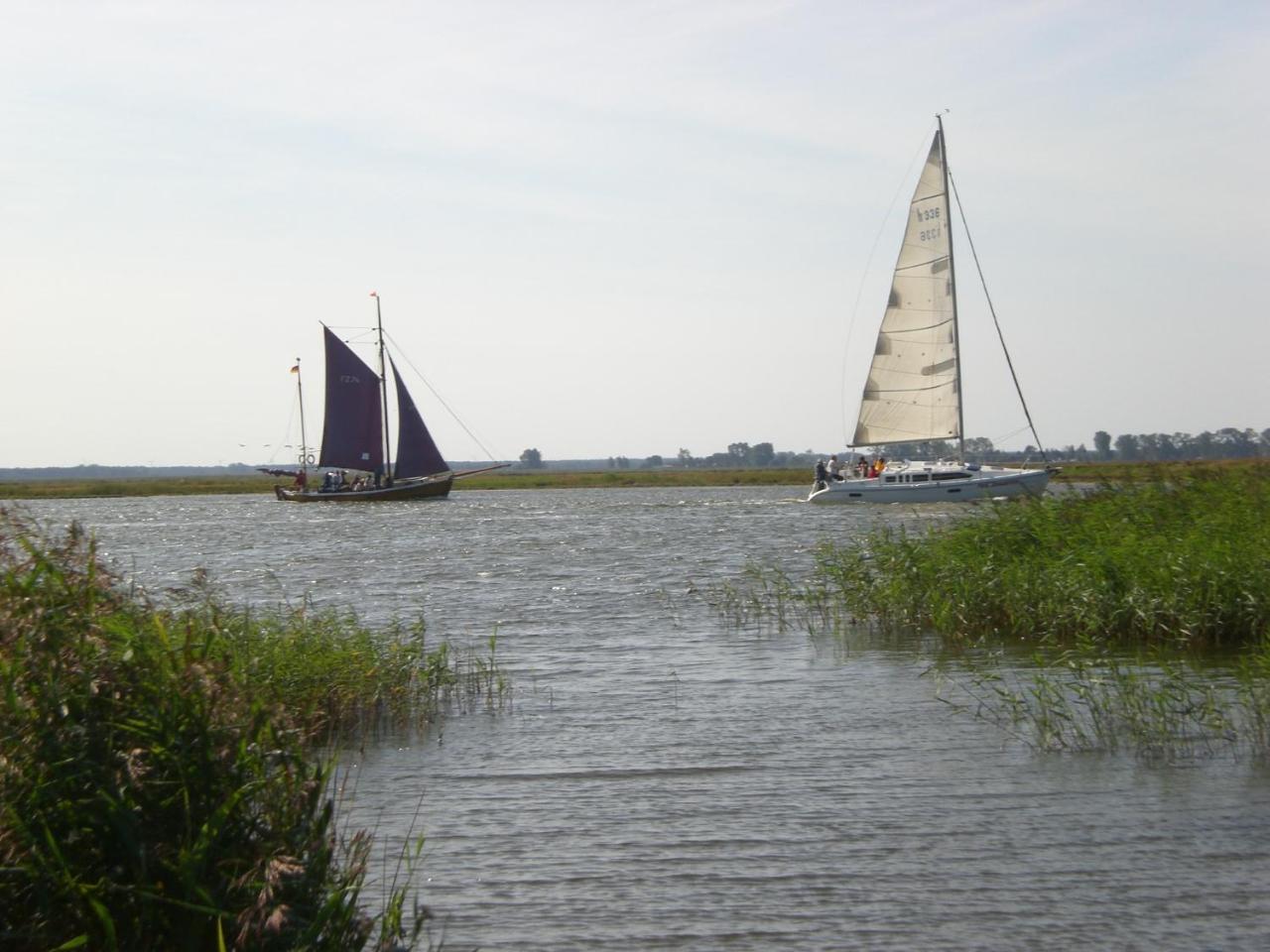 Achtern - Diek - am Strand Zingst Buitenkant foto
