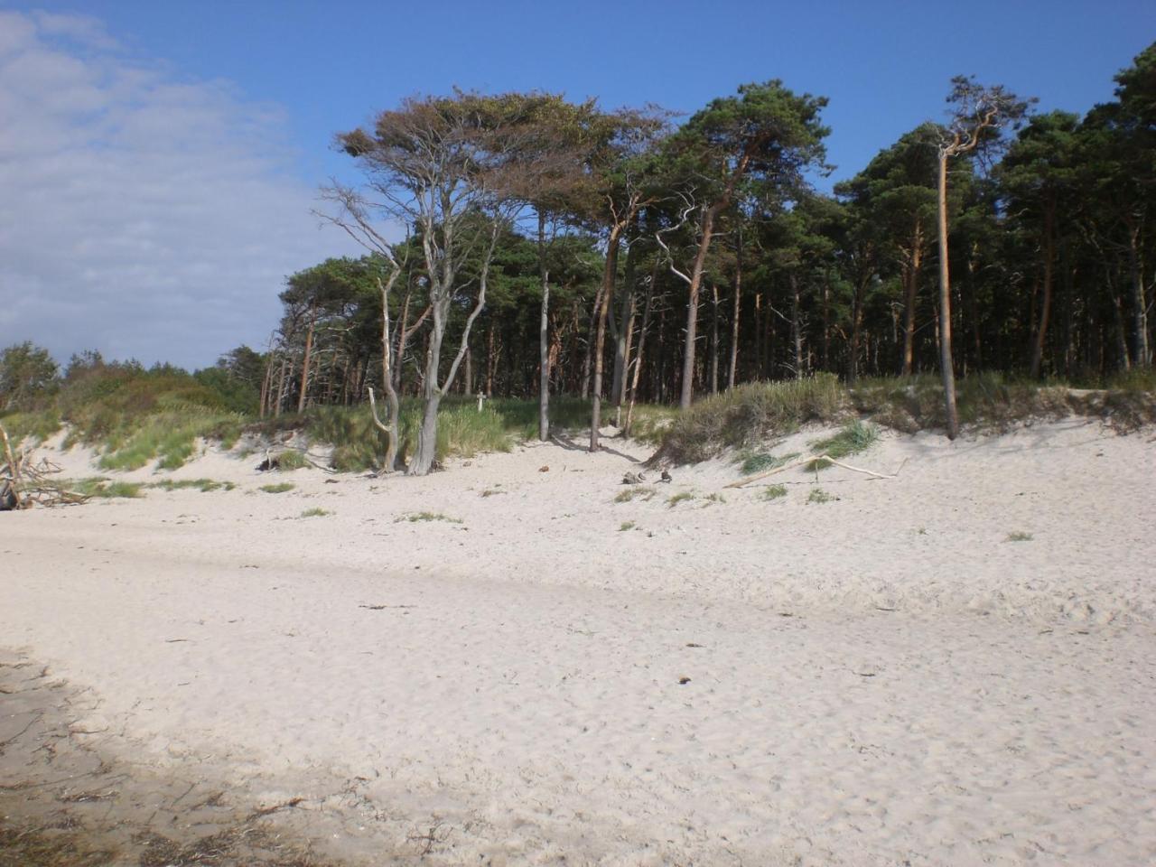 Achtern - Diek - am Strand Zingst Buitenkant foto