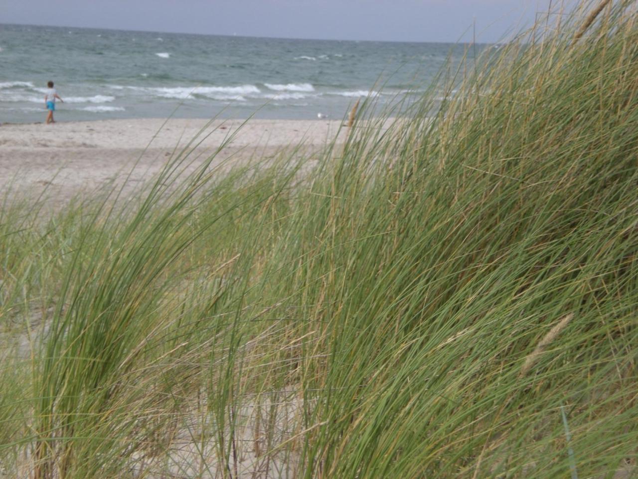Achtern - Diek - am Strand Zingst Buitenkant foto