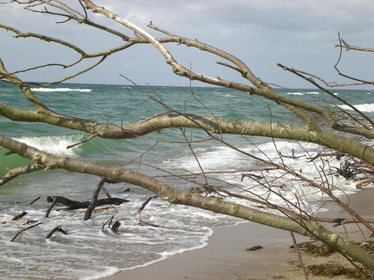 Achtern - Diek - am Strand Zingst Buitenkant foto