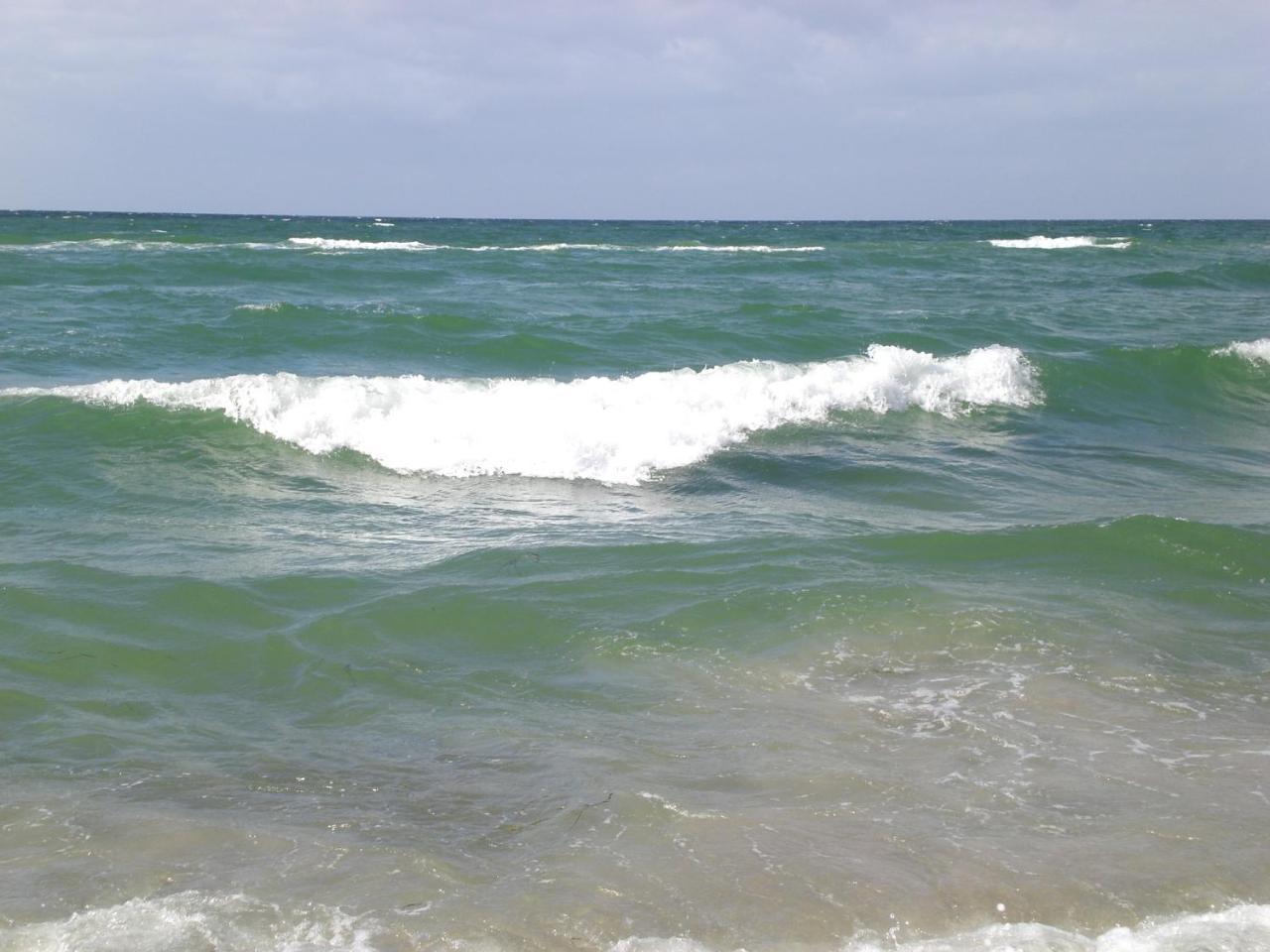 Achtern - Diek - am Strand Zingst Buitenkant foto