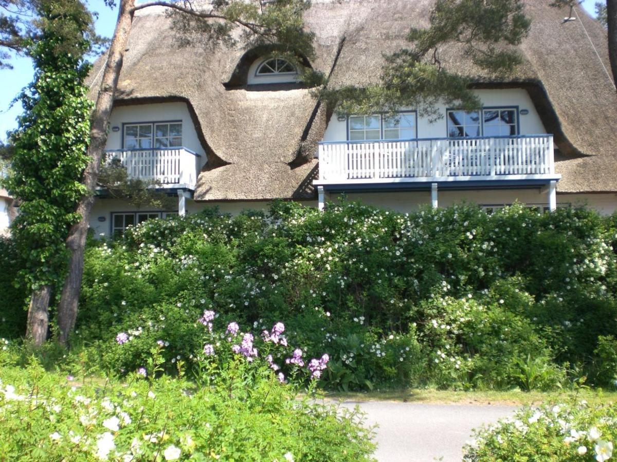 Achtern - Diek - am Strand Zingst Buitenkant foto