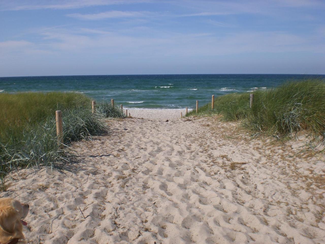 Achtern - Diek - am Strand Zingst Buitenkant foto